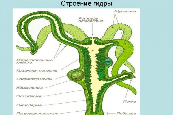 Оригинальные ссылки кракена