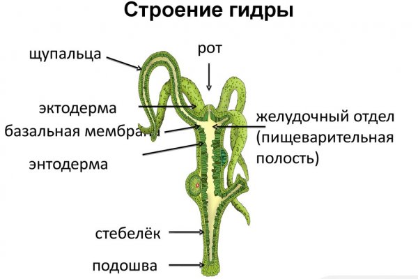 Кракен рабочая ссылка 2024