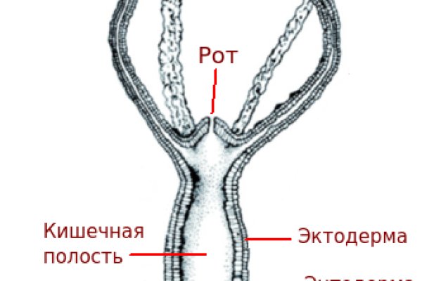 Кракен сайт 16